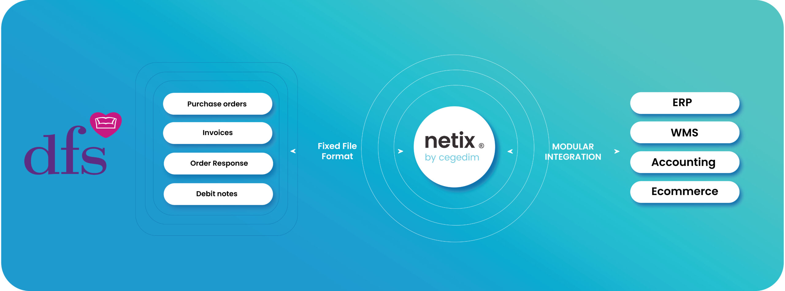 How Netix connects you to DFS