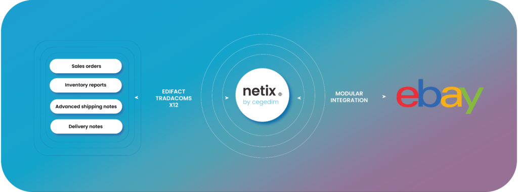 Netix Flow integration into eBay 