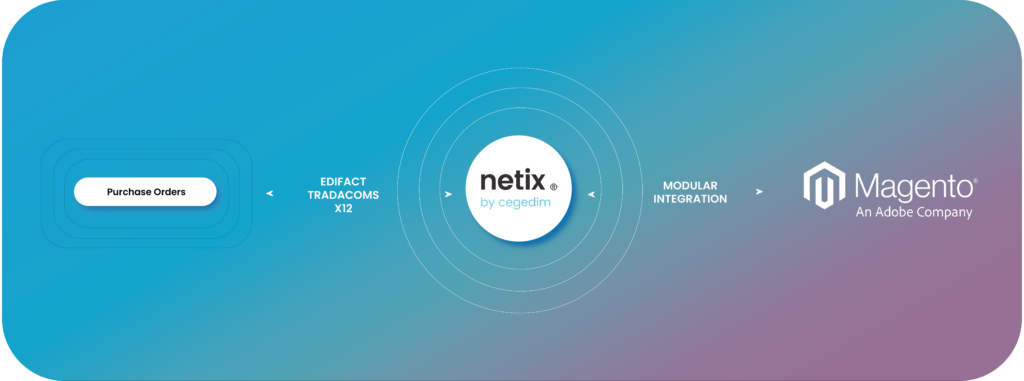 Netix integration into Magento (Adobe Commerce)