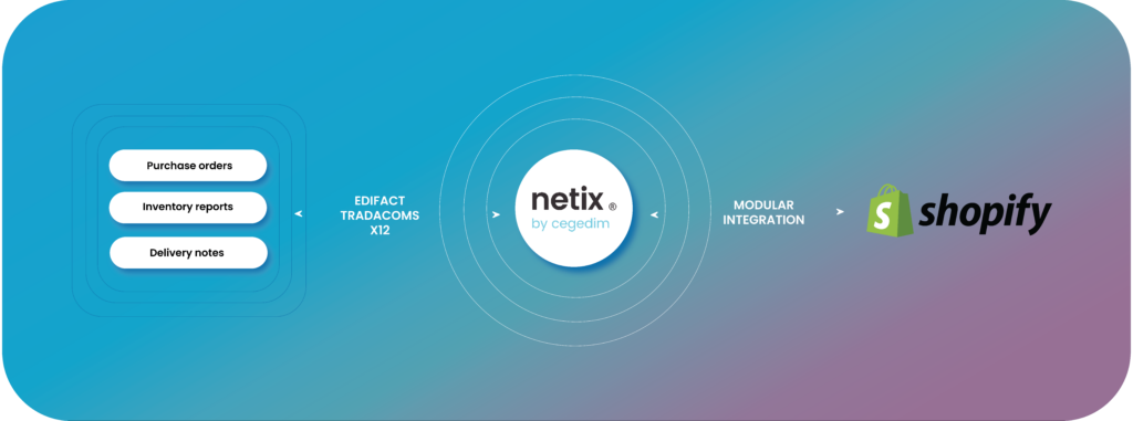 How Netix Flow integrates into Shopify