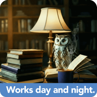 get_mote_done_ad_works_day_night_light