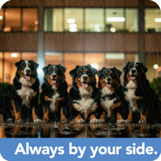 get_mote_done_web_by_your_side_light