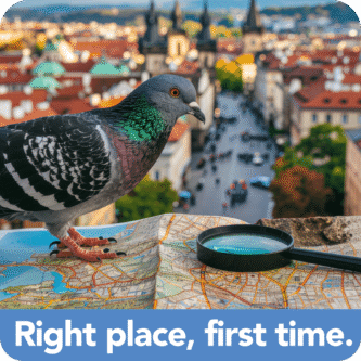 get_mote_done_web_place_time_light