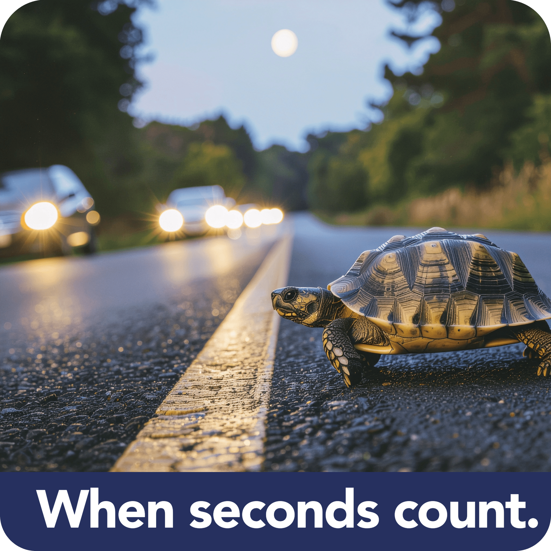 get_mote_done_web_seconds_count